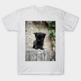 Little black cat T-Shirt